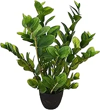 0.8 متر نباتات اصطناعية عالية Zamioculcas Zamifolia لتزيين حديقة المنزل والمكتب ، Yatai ، أخضر ، P-money-001