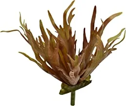نباتات اصطناعية وهمية معلقة أوراق مرجانية أزهار شجيرات نباتية لمناسبات متعددة