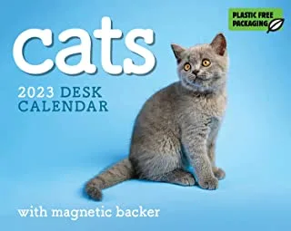 2023 Cats Mini Box Calendar