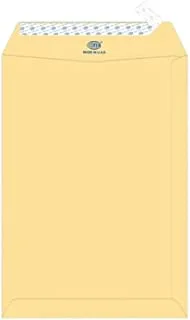 FIS FSME9032P50 90 GSM Peel and Seal Plain Manila Envelopes 50-Pack, 9-Inch x 6-Inch Size