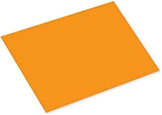بطاقات ملونة FIS FSCH1602535SA 100 قطعة
