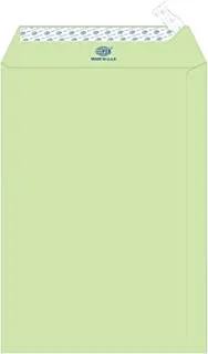 FIS FSEC8033PG50 80 GSM Peel and Seal Pastel Envelopes 50-Pack, 10 x 7 Inch Size, Green