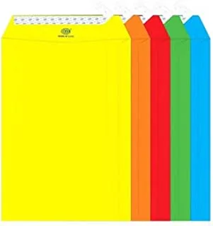 FIS FSEC8032P5B50 80 GSM Peel and Seal Neon Envelopes 50-Pack, 9 x 6 Inch Size, Assorted