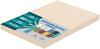 FIS FSBDE230A4SL 230 gsm Embossed Binding Sheet 100-Pieces