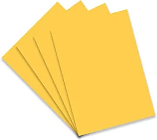 100-Piece FIS Coloured Card, 50x70cm,160GSM, Gold - FSCH160200