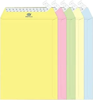 FIS FSEC8032P550 80 GSM Peel and Seal Pastel Envelopes 50-Pack، 9 x 6 Inch Size، 5 Assorted Colors 5 ألوان متنوعة