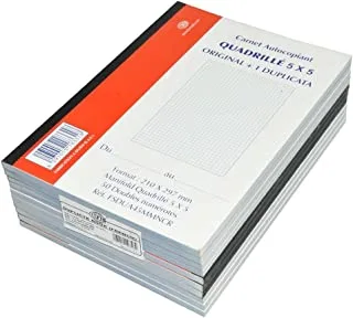 FIS FSDUA45MMNCR 5 mm Square Original with 1 NCR Paper French Duplicate Books 10 Pieces Set, A4 Size