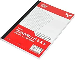 FIS FSDUA550F 5mm Square Original with 1 French Duplicate Books 10 Pieces Set, A5 Size