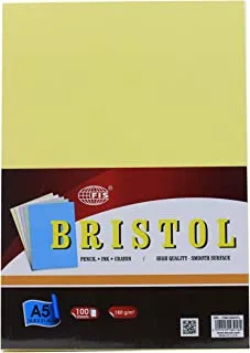 FIS 180 GSM Bristol Board Pocket 100-Pieces Set
