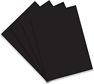 FIS 240gsm Bristol Board 100-Pieces Set, 50 x 70 cm, Black