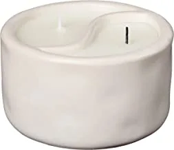 Paddywax Candles YY1004Z Yin & Yang Collection Scented Candle, 11-Ounce, White - Black Salt | Teakwood