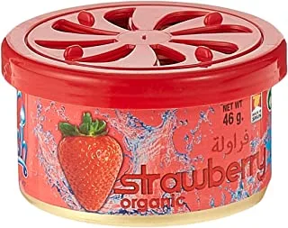 Everfresh Organic Can Strawberry