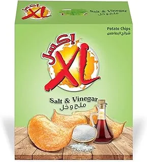 Xl Salted & Vinegar Flavor Potato Chips, 12 x 22g