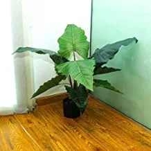 نبات قلقاس قوس قزح طبيعي شبه طبيعي من YATAI مع وعاء بلاستيكي بوعاء صغير نباتات اصطناعية مزيفة للديكور المنزلي نباتات بلاستيكية داخلية - نباتات خارجية - نباتات مكتبية - نباتات صناعية (70 سم)
