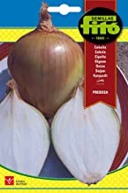 Semillas Fito Onion Morada de Amposta Arbo Purple Onion Seeds (175 g)