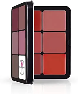 LEF Lipstick & Blusher palette x12