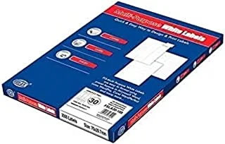 FIS FSLA30-100 30 Stickers Multipurpose Laser Label 100 Sheet, A4 Size, White