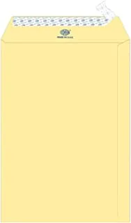 FIS FSEE1027PCRB25 100GSM Peel and Seal Executive Laid Paper Envelopes 25-Pieces, 324 mm x 229 mm Size, Cream
