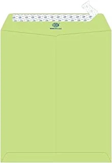 Fis fsee1034pgrb25 100gsm peel and seal executive laid paper envelopes 25-pieces, 12-inch x 10-inch size, green