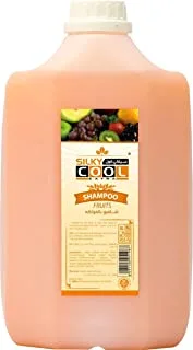 Shampoo with fruit essence from Silky Cool 5L