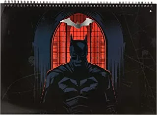 Warner Bros Batman I Am The Shadows A3 Sketchbook